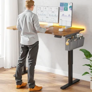 Electric Standing Desk
