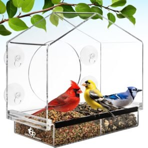 Window Bird Feeder with Strong Suction Cups